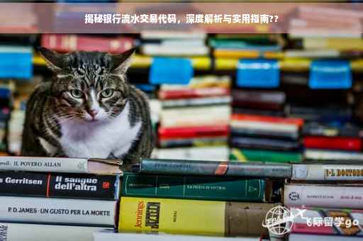 揭秘银行流水交易代码，深度解析与实用指南??