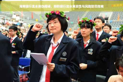 海南银行流水真伪揭秘，辨别银行流水真实性与风险防范指南