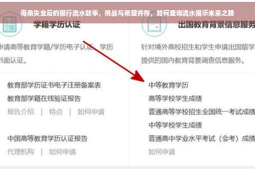 母亲失业后的银行流水故事，挑战与希望并存，如何查询流水揭示未来之路