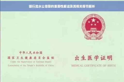 银行流水公章图的重要性解读及其相关细节解析