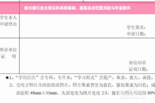 做办银行流水背后的真相揭秘，揭露违法犯罪风险与所需条件