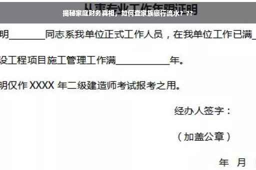 揭秘家庭财务真相，如何查家族银行流水？??