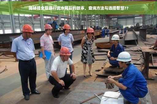 揭秘择业期银行流水背后的故事，查询方法与选择智慧??