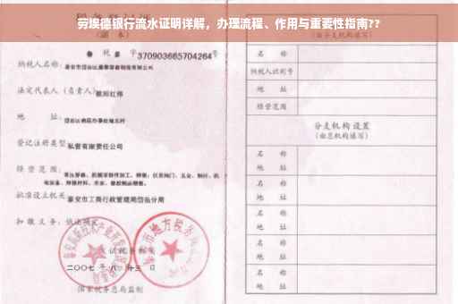 劳埃德银行流水证明详解，办理流程、作用与重要性指南??