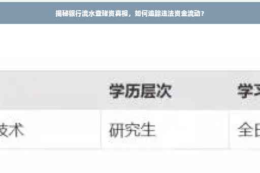 揭秘银行流水查赌资真相，如何追踪违法资金流动？