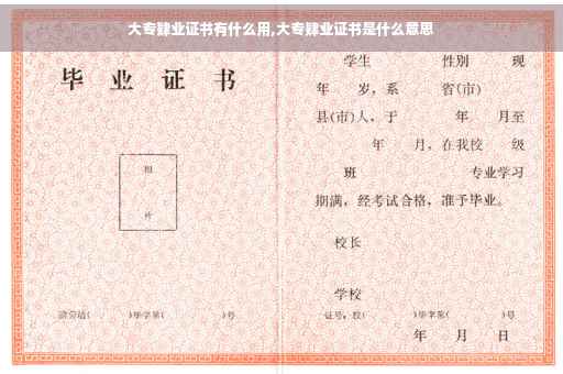 大专肄业证书有什么用,大专肄业证书是什么意思