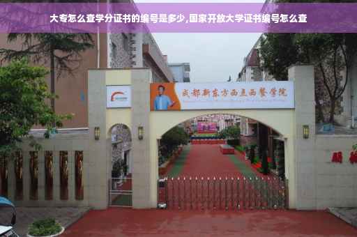 大专怎么查学分证书的编号是多少,国家开放大学证书编号怎么查
