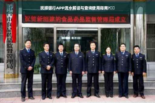 抚顺银行APP流水解读与查询使用指南?⚡️