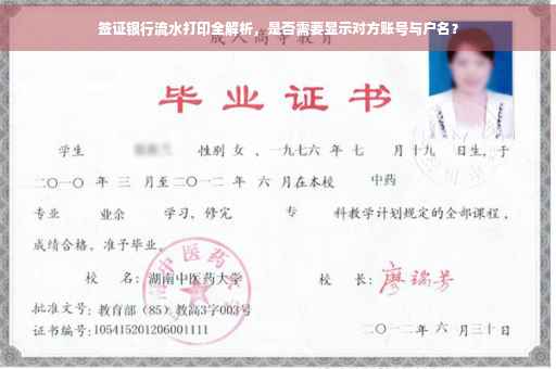 签证银行流水打印全解析，是否需要显示对方账号与户名？