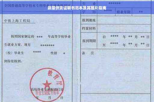 蔬菜供货证明书范本及其图片指南