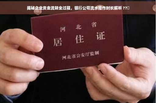 揭秘企业资金流转全过程，银行公司流水操作时长解析 ??✨