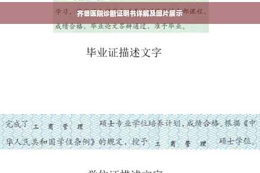 齐鲁医院诊断证明书详解及图片展示