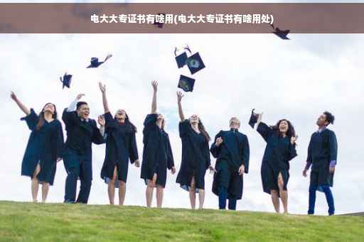电大大专证书有啥用(电大大专证书有啥用处)