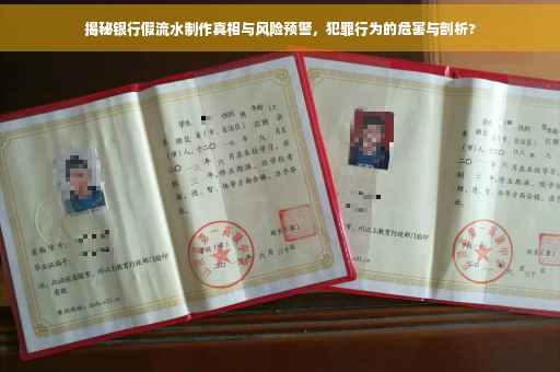揭秘银行假流水制作真相与风险预警，犯罪行为的危害与剖析?