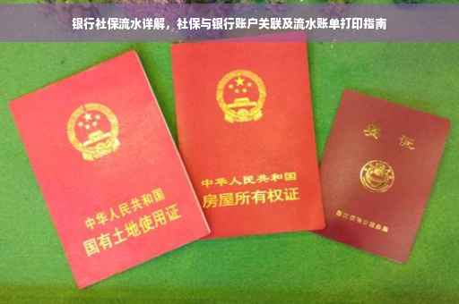 银行社保流水详解，社保与银行账户关联及流水账单打印指南