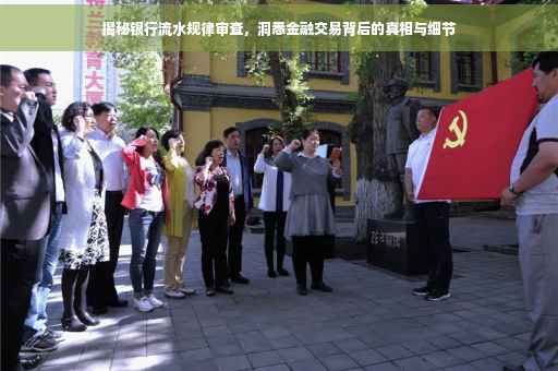 揭秘银行流水规律审查，洞悉金融交易背后的真相与细节