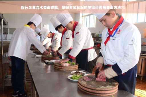 银行企业流水查询详解，掌握资金状况的关键步骤与查询方法?✨
