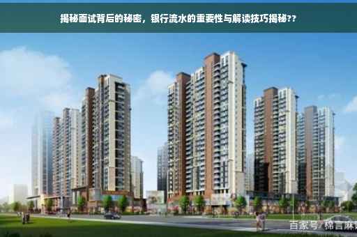 揭秘面试背后的秘密，银行流水的重要性与解读技巧揭秘??