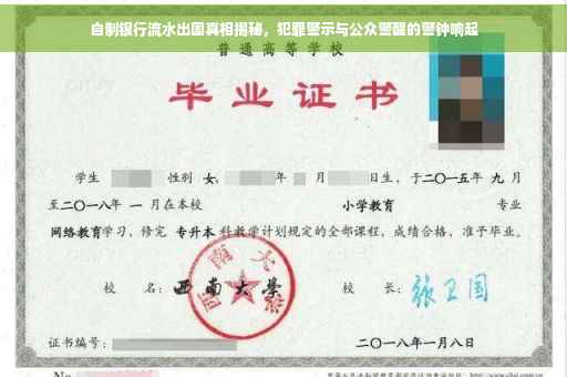 自制银行流水出国真相揭秘，犯罪警示与公众警醒的警钟响起