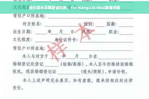 银行流水正确发音指南，Yín Háng Liú Shuǐ发音详解