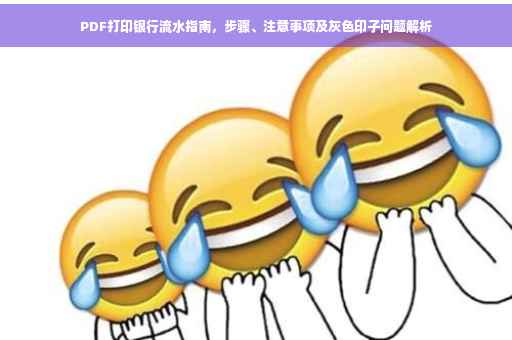 PDF打印银行流水指南，步骤、注意事项及灰色印子问题解析