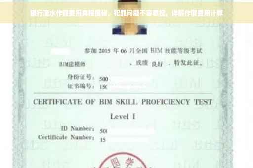 银行流水作假费用真相揭秘，犯罪问题不容忽视，详解作假费用计算