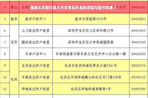 揭秘北京银行流水共享背后的金融逻辑与操作指南 ?✨