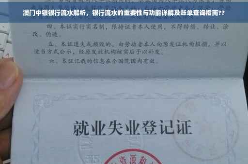 澳门中银银行流水解析，银行流水的重要性与功能详解及账单查询指南??
