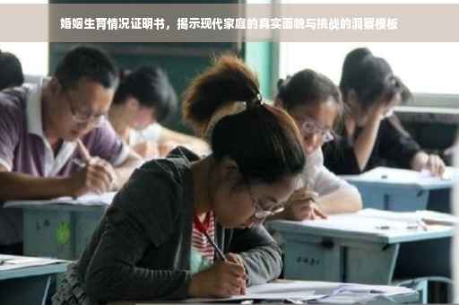 婚姻生育情况证明书，揭示现代家庭的真实面貌与挑战的洞察模板