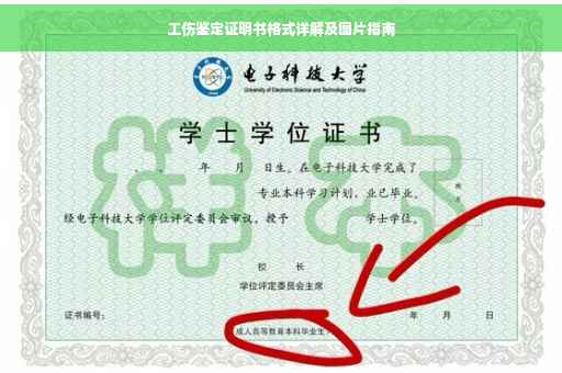 工伤鉴定证明书格式详解及图片指南