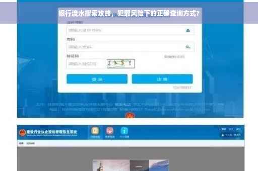 银行流水搜索攻略，犯罪风险下的正确查询方式?