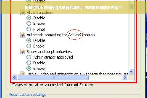 揭秘付款不给银行流水的背后真相，应对策略与解决方案??