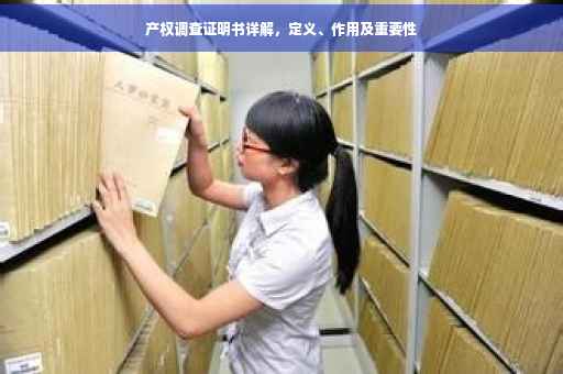 产权调查证明书详解，定义、作用及重要性