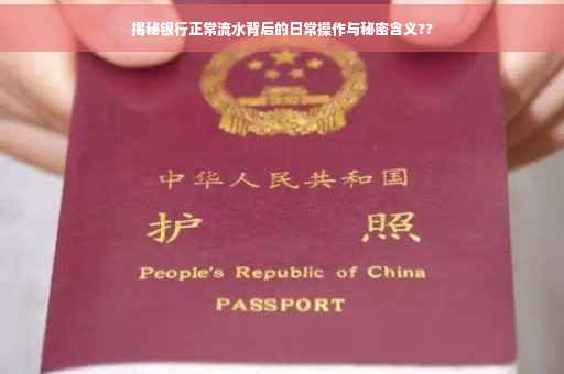 揭秘银行正常流水背后的日常操作与秘密含义??