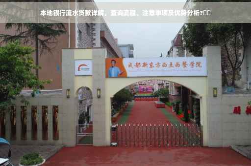 本地银行流水贷款详解，查询流程、注意事项及优势分析?⚡️