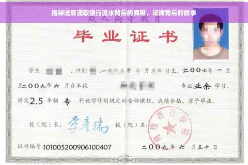 揭秘法庭调取银行流水背后的真相，证据背后的故事