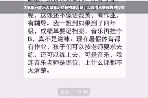 企业银行流水大增背后的秘密与洞察，大额流水处理方法探讨