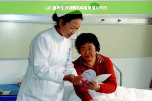 山东离婚生效证明书详解及图片介绍