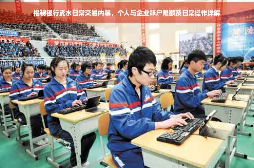 揭秘银行流水日常交易内幕，个人与企业账户限额及日常操作详解