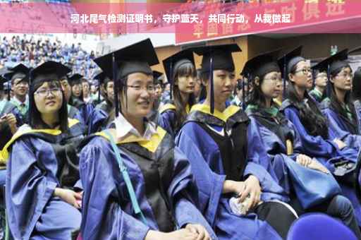 河北尾气检测证明书，守护蓝天，共同行动，从我做起