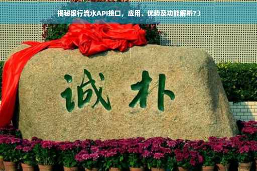 揭秘银行流水API接口，应用、优势及功能解析?✨