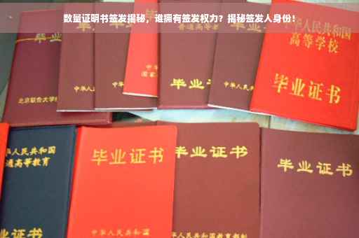 数量证明书签发揭秘，谁拥有签发权力？揭秘签发人身份！
