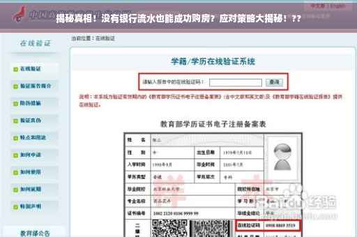 揭秘真相！没有银行流水也能成功购房？应对策略大揭秘！??