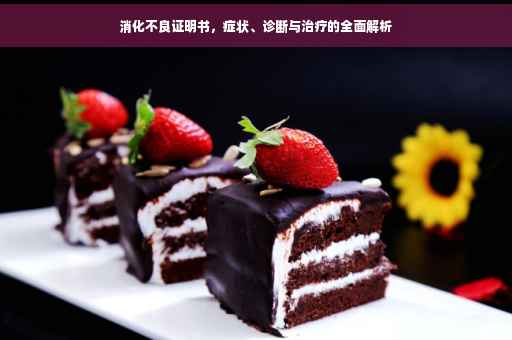 消化不良证明书，症状、诊断与治疗的全面解析