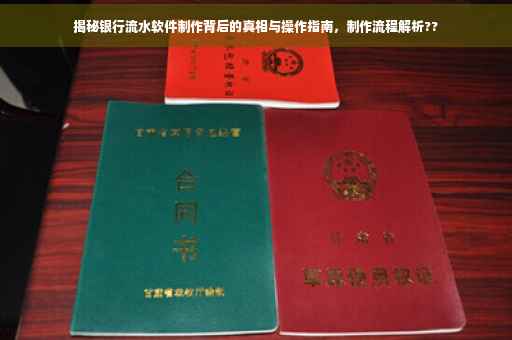 揭秘银行流水软件制作背后的真相与操作指南，制作流程解析??