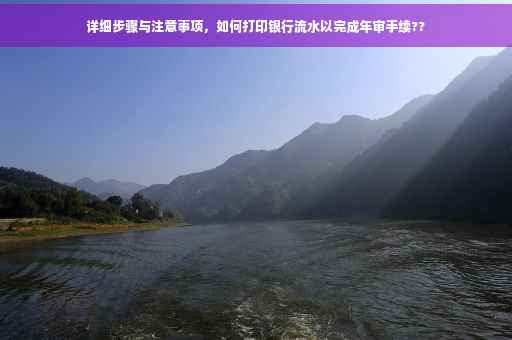 详细步骤与注意事项，如何打印银行流水以完成年审手续??