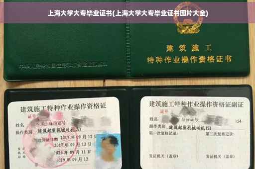 上海大学大专毕业证书(上海大学大专毕业证书图片大全)