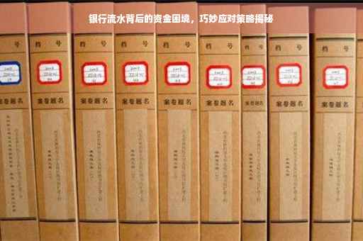 银行流水背后的资金困境，巧妙应对策略揭秘
