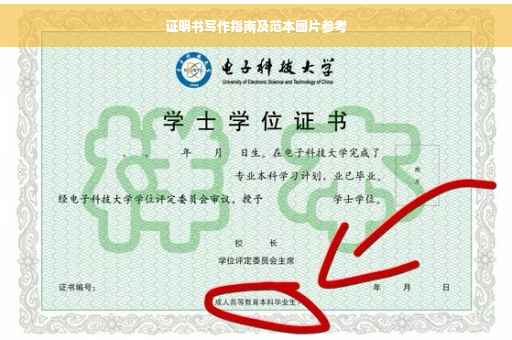 证明书写作指南及范本图片参考