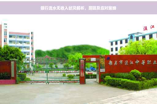 银行流水无收入状况解析，原因及应对策略